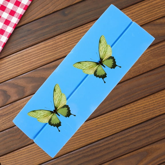 GOOHOCHY Specimen Board Specimen Display Panel Pinning Board Butterfly Specimen Pinning Tool Experiment Tool for Specimen Display