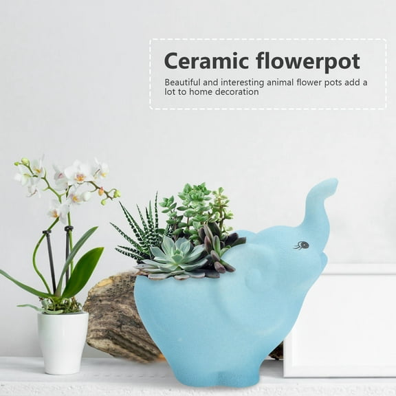 GOOHOCHY  Succulent Plant Pots Porcelain Planter Planting Plants Clay Office Blue
