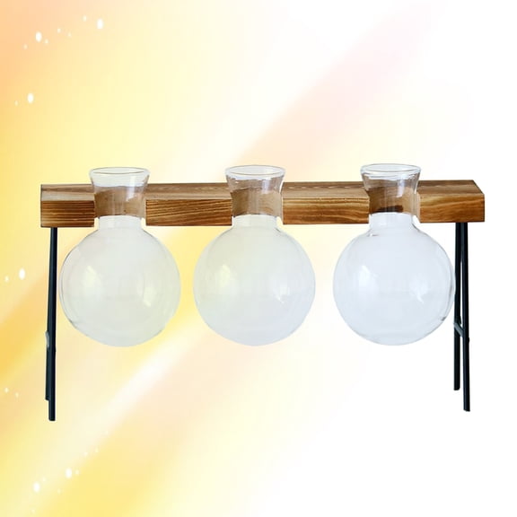 FUEENIRVA Creative Round Glass Planter Bulb Vase for Hydroponic Plants in White Wooden Frame Decor for Garden