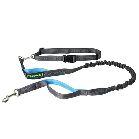 GOOPAWS Bungee Reflective Standard Dog Leash, Black