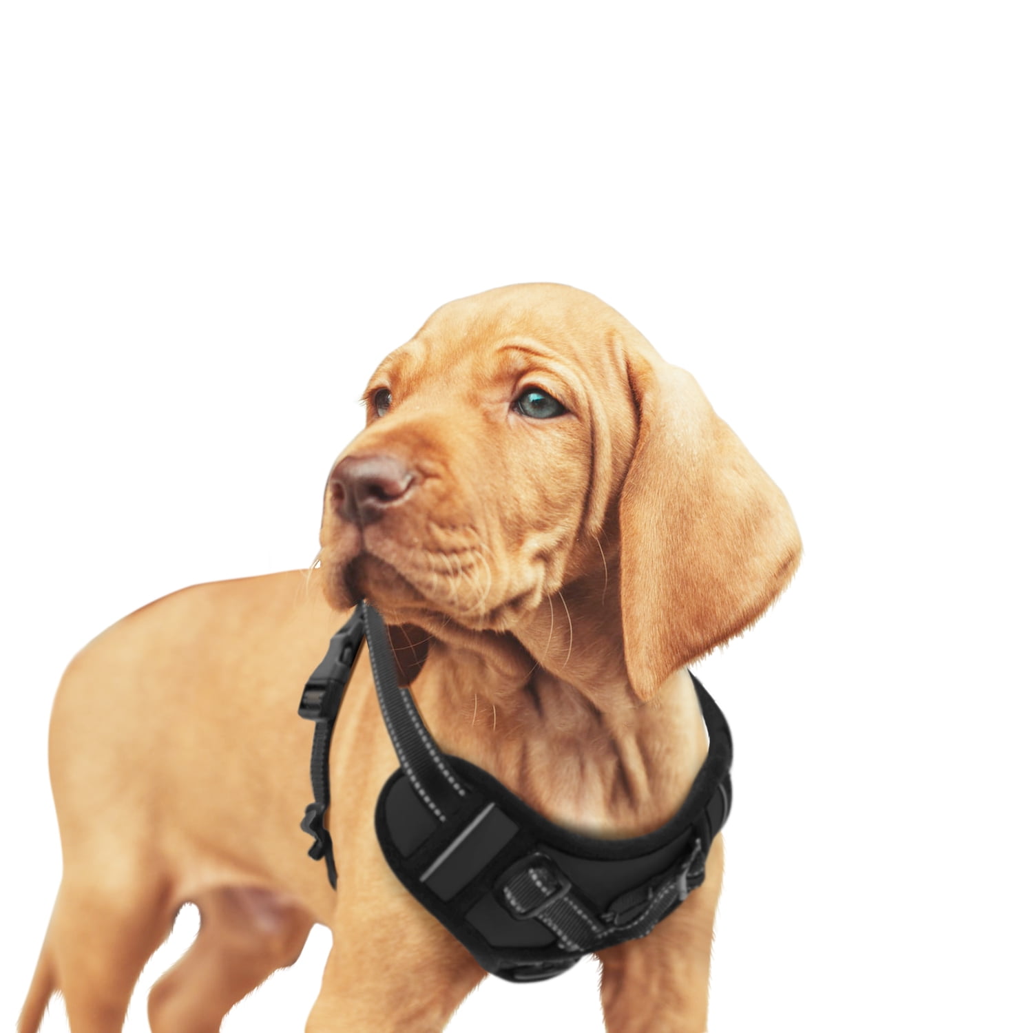 GOOPAWS Padded Reflective Dog Harness Easy Control Lightweight Dog Harness Adjustable Outdoor Pet Harness for Small Medium Large Dogs