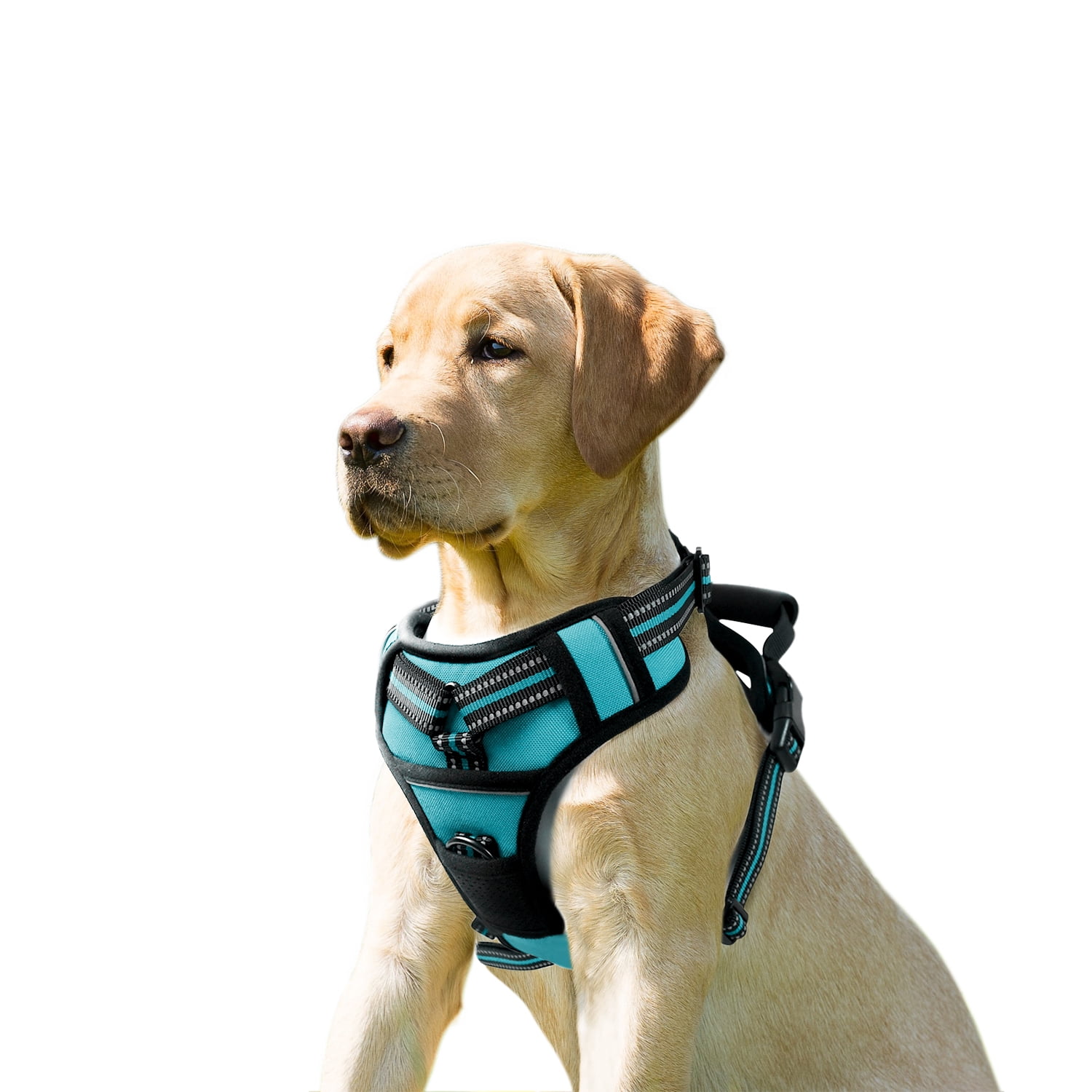 GOOPAWS Padded Reflective Dog Harness, Easy Control Lightweight Dog Harness, Adjustable Outdoor Pet Harness for Small Medium Large Dogs