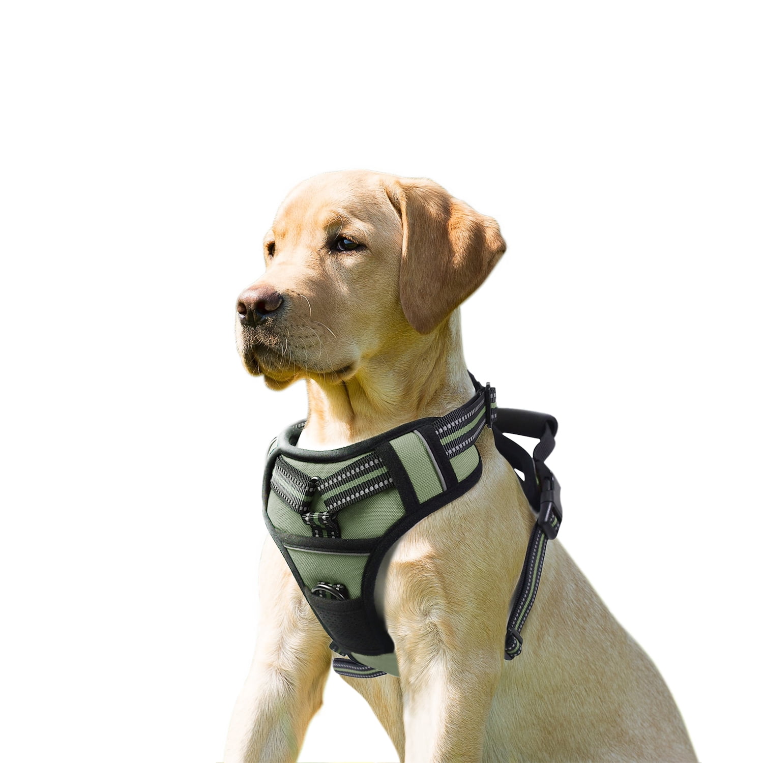 GOOPAWS Padded Reflective Dog Harness, Easy Control Lightweight Dog Harness, Adjustable Outdoor Pet Harness for Small Medium Large Dogs