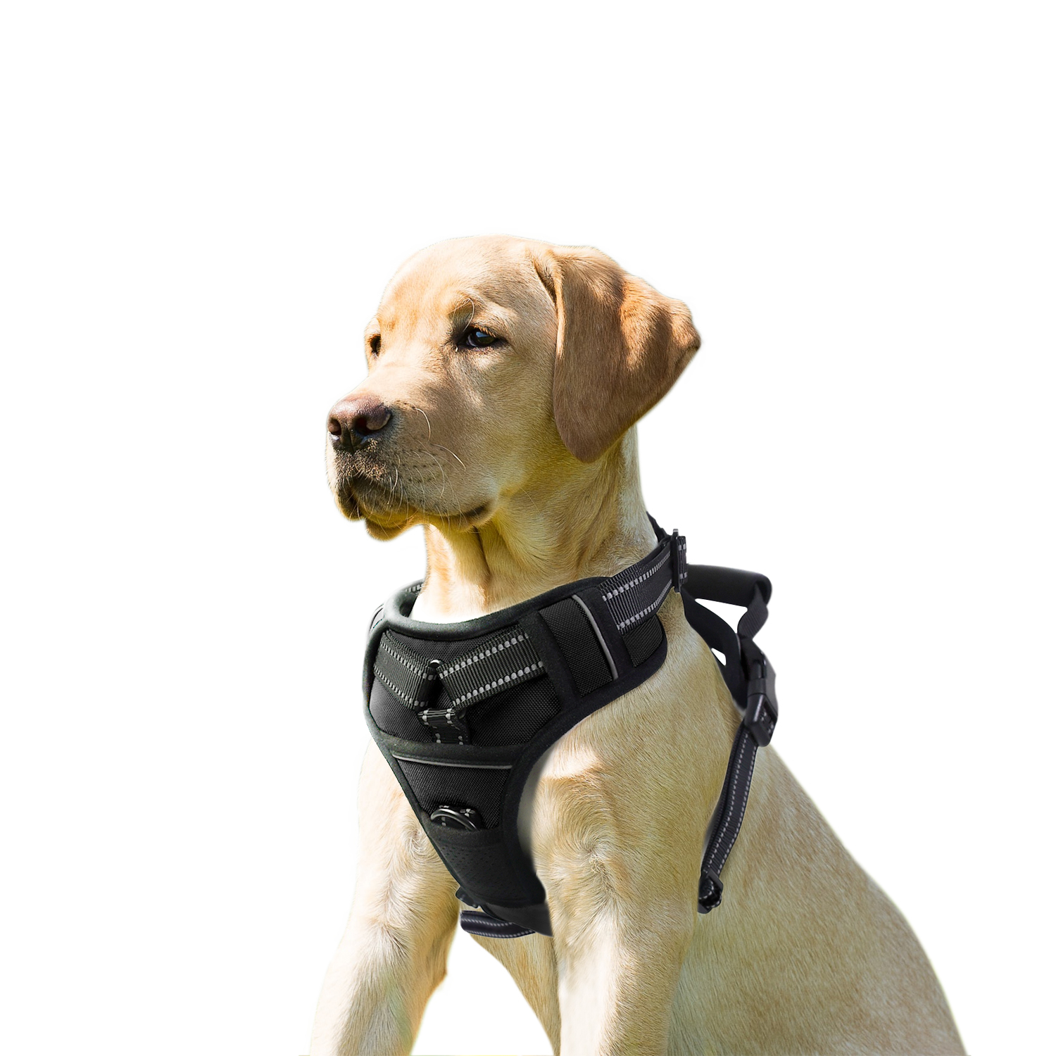 GOOPAWS Padded Reflective Dog Harness, Easy Control Lightweight Dog Harness, Adjustable Outdoor Pet Harness for Small Medium Large Dogs