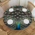 thumbnail image 1 of GOSMITH Being Yourself - Peacock Art Round Tablecloth Outdoor Fitted White, 1 of 7
