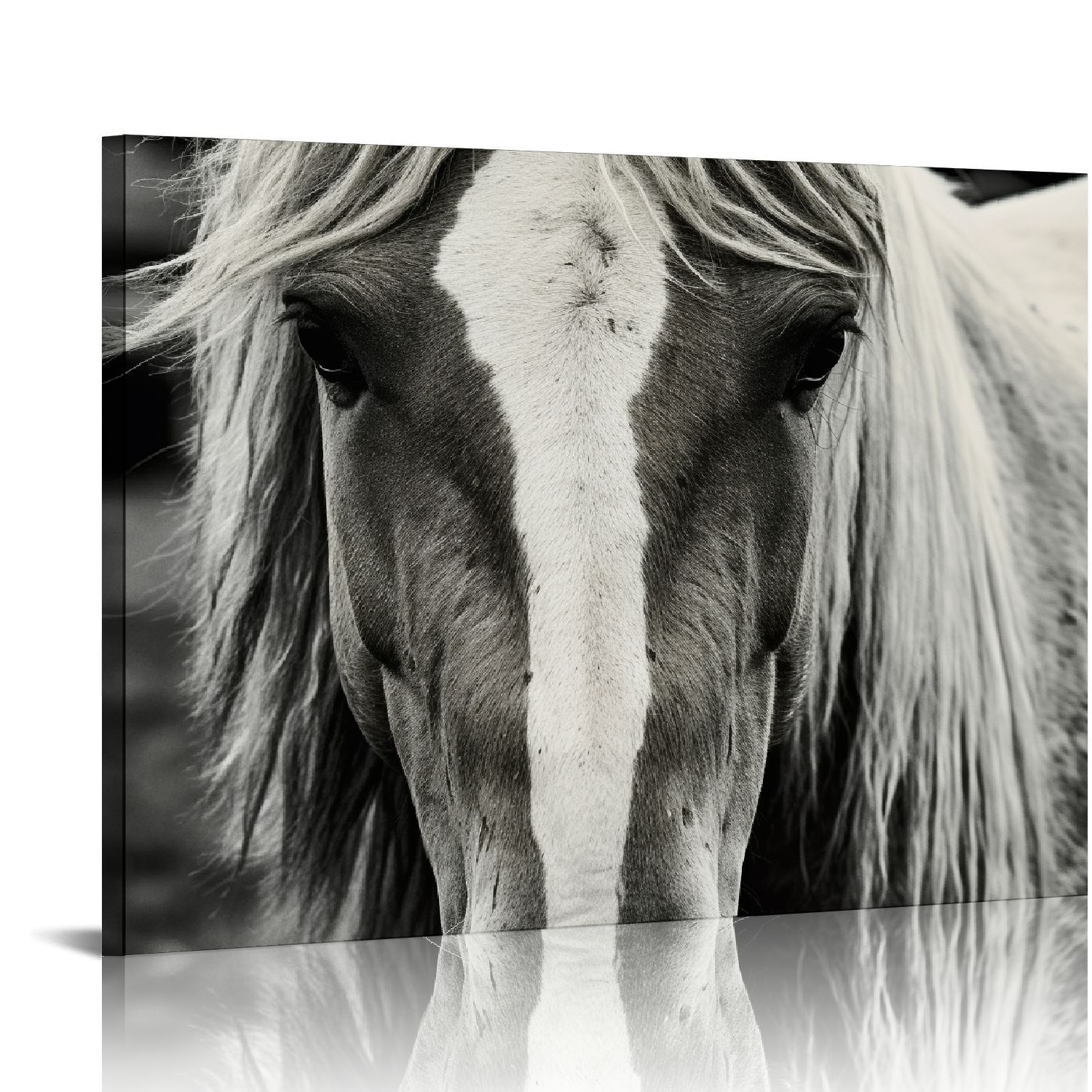 Black And White Horse Wall Art