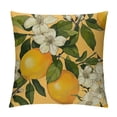 thumbnail image 1 of GOSMITH Lemon Throw Pillow Covers Vintage Chinese Plum Tree Fruits Flower Aesthetic Petal Orange Cozy Washable Indoor Living Room Couch Standard Home Sofa Bed Decor Cushion Cover White, 1 of 5
