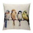 thumbnail image 1 of GOSMITH  Outdoor Birds Pillows Decorative Throw Pillows Single Large Watercolor Hand-Painted Oil Painting Birds Pillow Cases,Spring Summer Decorations Square Cushion Covers for Couch Sofa, 1 of 5