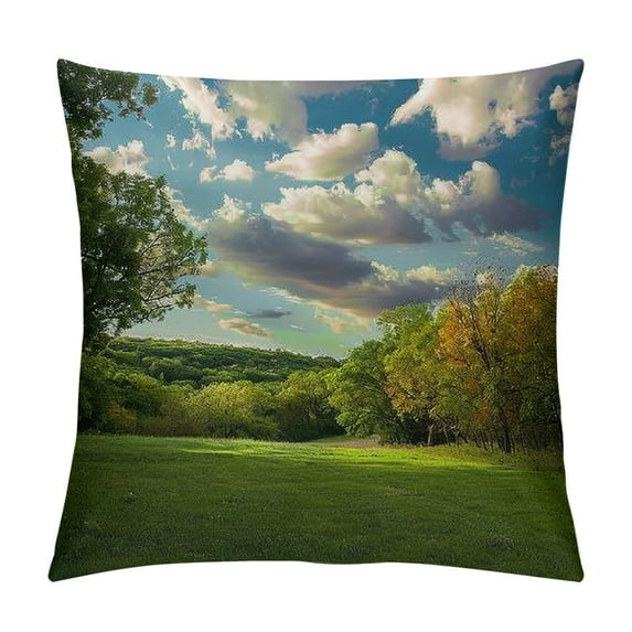 Leisuo Throw Pillow Cover- Autumn Deciduous Trees Deciduous Forest Fall Color