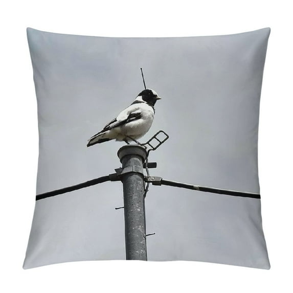 GOSMITH Throw Pillow Cover - Bird Magpie Lark Animal White Black Plumage