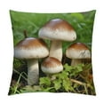 thumbnail image 1 of GOSMITH Throw Pillow Cover - Egerling Disc Fungus Forest Screen Fungus white, 1 of 5