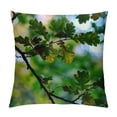 thumbnail image 1 of GOSMITH Throw Pillow Cover - Forest Deciduous Tree Autumn Leaves Landscape, 1 of 5