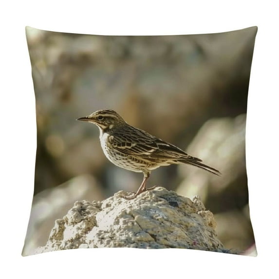 GOSMITH Throw Pillow Cover - Lark Bird Wildlife Nature Animal Wild Fauna