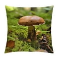 thumbnail image 1 of GOSMITH  Throw Pillow Cover  Mushroom Disc Fungus Forest Screen Fungus, 1 of 5