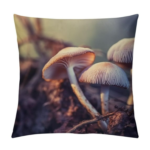 GOSMITH Throw Pillow Cover - Mushrooms Forest Floor Screen Fungus Disc Fungus