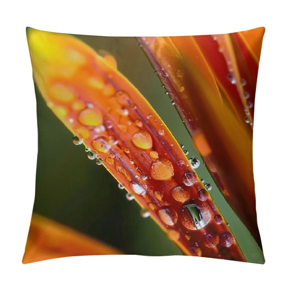 GOSMITH Throw Pillow Cover - Petals Flower Macro Wet Droplets Water Dew Fresh