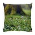 thumbnail image 1 of GOSMITH Throw Pillow Cover- Smock Flower Flowers Nature Cuckoo Flower Blossom, 1 of 5