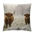 thumbnail image 1 of GOSMITH Throw Pillow Covers Cases  Hairy Scottish Highland Cattles Soft Cozy Decorative Square Pillow Protector Cushion Cover for Home Sofa Couch, 1 of 5