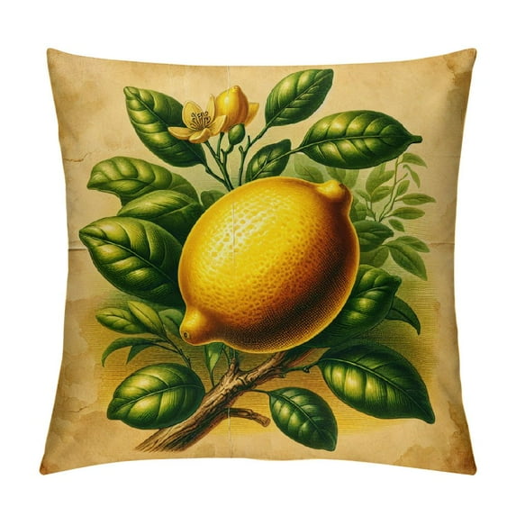 GOSMITH Throw Pillow Covers with Fruits Lemon Tree Art Line Retro Tropical Exotic Flower Vintage Sketch Lime Summer Fruit for Couch Living Room White
