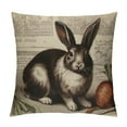 thumbnail image 1 of GOSMITH  Vintage Easter Bunny Pillow Cover Cute Animal Rabbit Home Decor  Throw Cushion Case, 1 of 5