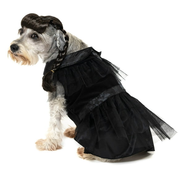 Vibrant Life Halloween Gothic Girl Costume for Dogs, Black, Medium