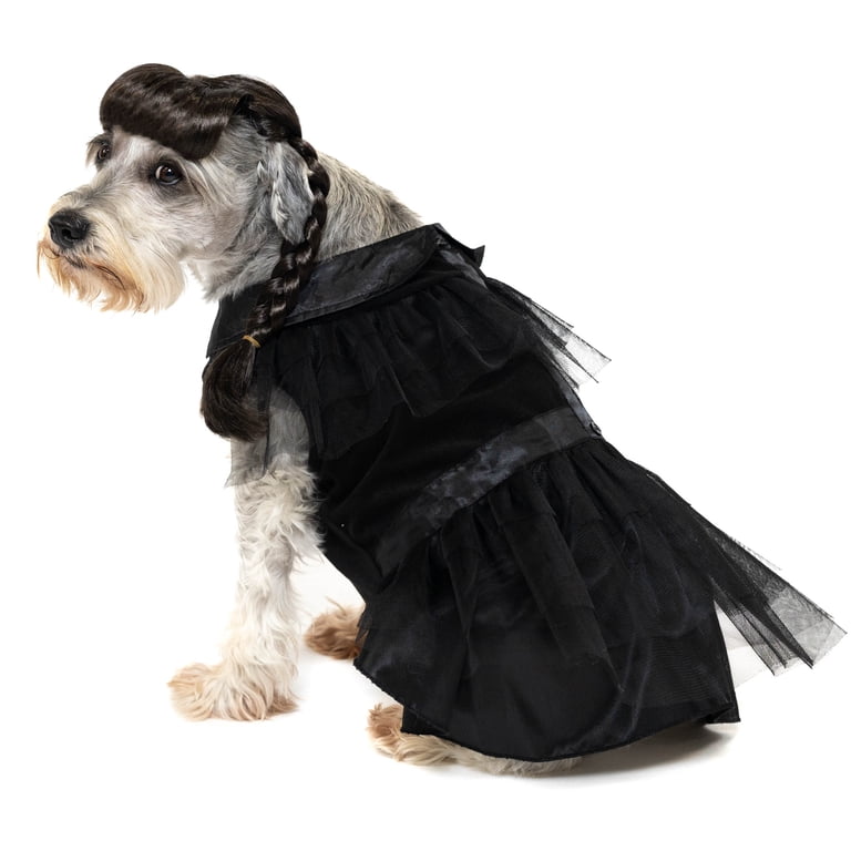 Vibrant Life Halloween Gothic Girl Costume for Dogs, Black, Medium -  Walmart.com
