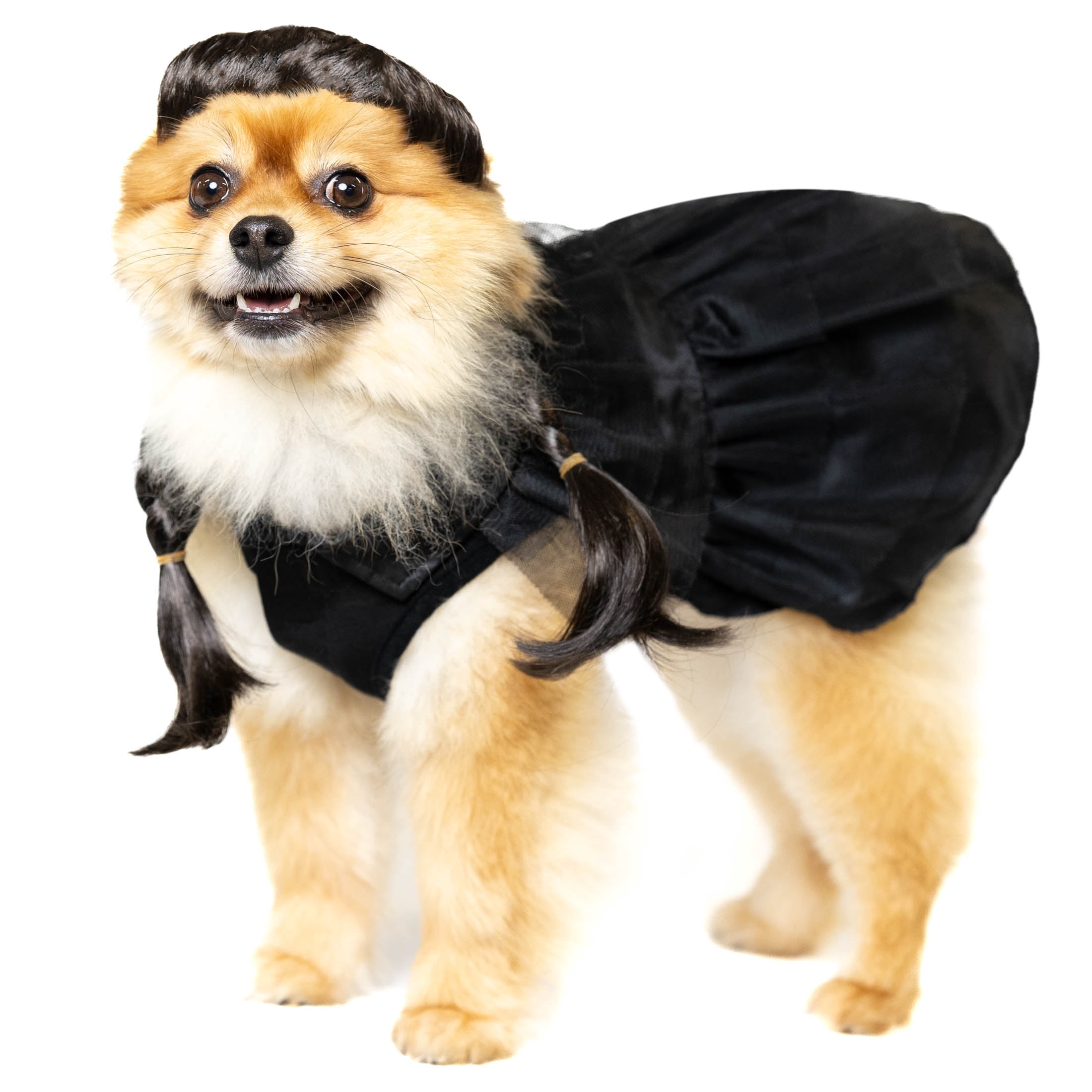 Vibrant Life Halloween Gothic Girl Costume for Dogs and Cats, Black, Small