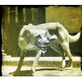 thumbnail image 1 of GOTTEN GAINS, 1 of 1