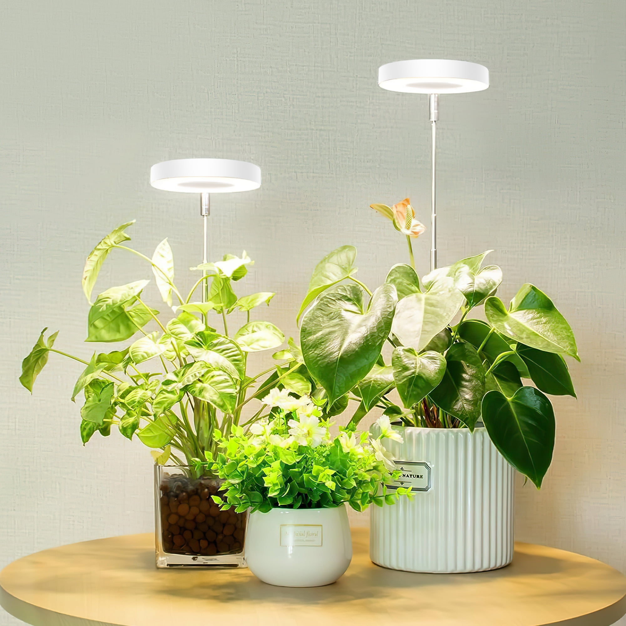 GPED Plant Grow Light, LED Growing Light for Indoor Plants, Full Spectrum Desk Growth Lamp w/ Automatic Timer(3/9/12Hrs) & Height Adjustable, 10 Dimmable Brightness for Small Plants, 2 Packs, White