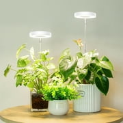 GPED Plant Grow Light, LED Growing Light for Indoor Plants, Full Spectrum Desk Growth Lamp w/ Automatic Timer(3/9/12Hrs) & Height Adjustable, 10 Dimmable Brightness for Small Plants, 2 Packs, White