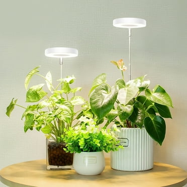 GPED Plant Grow Light, LED Growing Light for Indoor Plants, Full Spectrum Desk Growth Lamp w/ Automatic Timer(3/9/12Hrs) & Height Adjustable, 10 Dimmable Brightness for Small Plants, 2 Packs, White