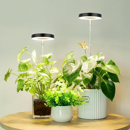 GPED Plant Grow Light, LED Growing Light for Indoor Plants, Full Spectrum Desk Growth Lamp w/ Automatic Timer(3/9/12Hrs) & Height Adjustable, 10 Dimmable Brightness for Small Plants, 2 Packs, Black