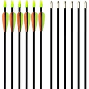 GPP 28" Fiberglass Archery Target Arrows - Practice Arrow or Youth Arrow for Recurve Bow- 12 Pack,Orange & Green Vanes