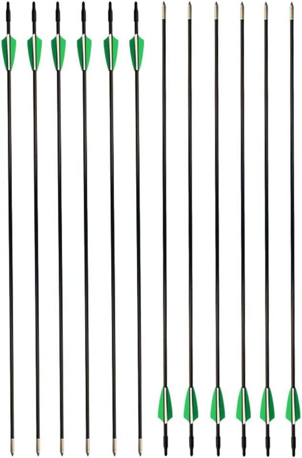 GPP Archery Beginner's First Arrows (30" Fiberglass Target Archery