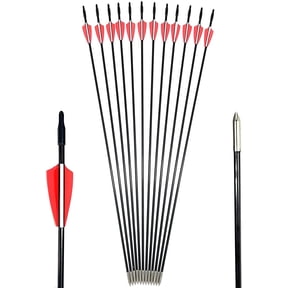 GPP Archery Beginner's First Arrows (30" Fiberglass Target Archery Arrows) - 12 Pack,Red