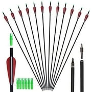 GPP Carbon 30-Inch Arrows with Field Points Replaceable Tips (12 Pack) with 6 Free Nocks for Recuve Bow & Compound Bow