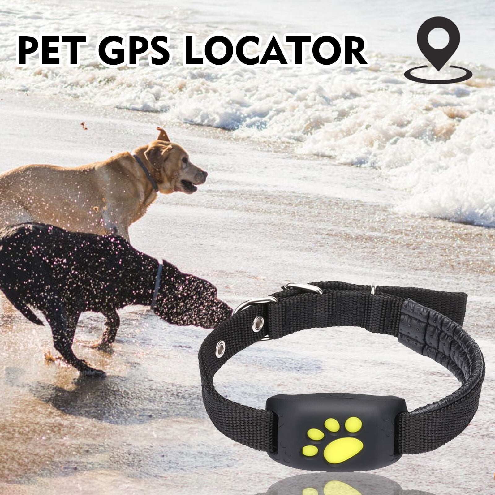 GPS Dog And Dog Activity Monitor With Unlimited Range, Waterproof