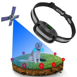 Dog Fence Collars