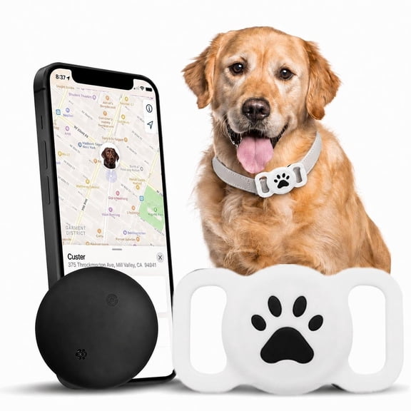 GPS Tracker for Dogs,Cat Tracker Pet Location Tracker with Holder,Real-Time Location, No Monthly Fee/SIM Card, Work with iOS & Android, Ultra-Slim, Waterproof Holder, Black