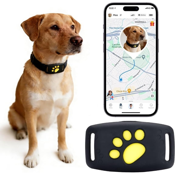 GPS Wireless Dog Fence, Electric Fence for Dogs, Perimeter Collar Fence System, IP63 Waterproof, Invisible GPS Fence Collar for Dogs with Beep Vibration Alert Modes(Black)
