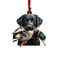 thumbnail image 1 of GQDIN Duck Hunting Christmas Ornament - 2D Flat Acrylic Mallard Duck Decor for Xmas Tree - Ideal Gift for Duck Hunters & Outdoor Enthusiasts Holiday Decoration, 1 of 7