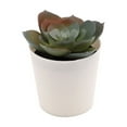 thumbnail image 1 of GQDIN Small Mini Artificial Succulents In White Plastic Pots, Realistic Fake Plants For Bathroom Farmhouse Cubicle Desk Decor, Low Maintenance Greenery, 1 of 9