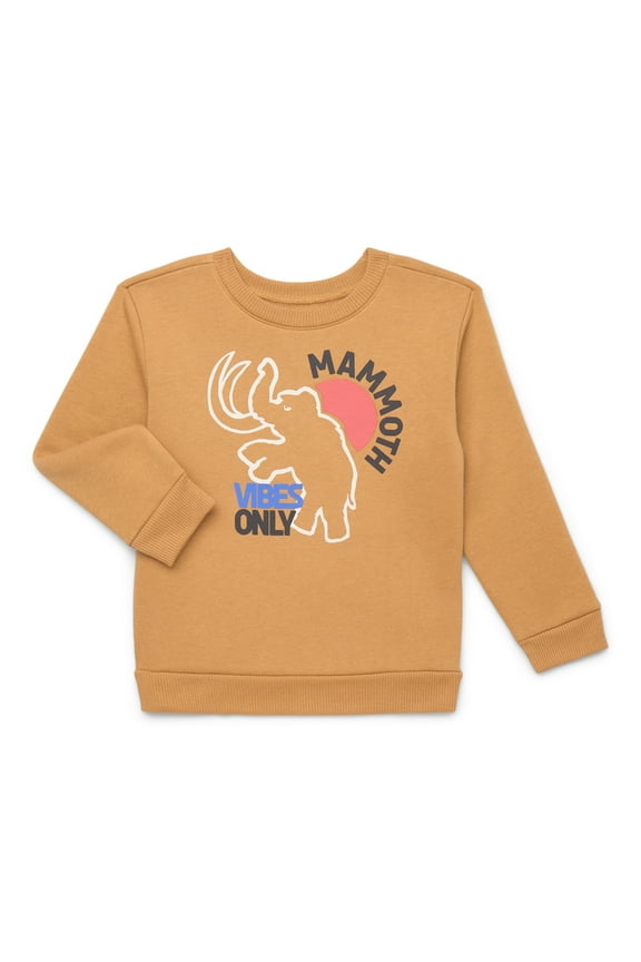Toddler Boy Graphic Fleece Sweatshirt, Sizes 2T-5T