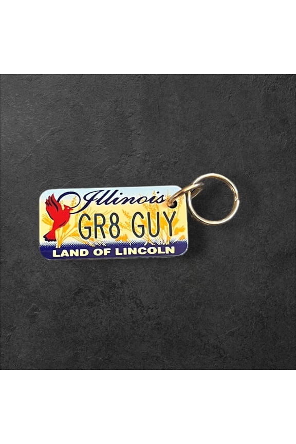 GR8 GUY  Name Keychain License Plate Illinois Land of Lincoln Great Gift 2 New