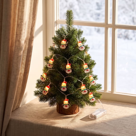 REGALWOVEN Christmas Lights for Indoor Tabletop Decor with Cartoon Characters and USB Power Option Snowman Battery Operated Steady On Lights 4.9 ft