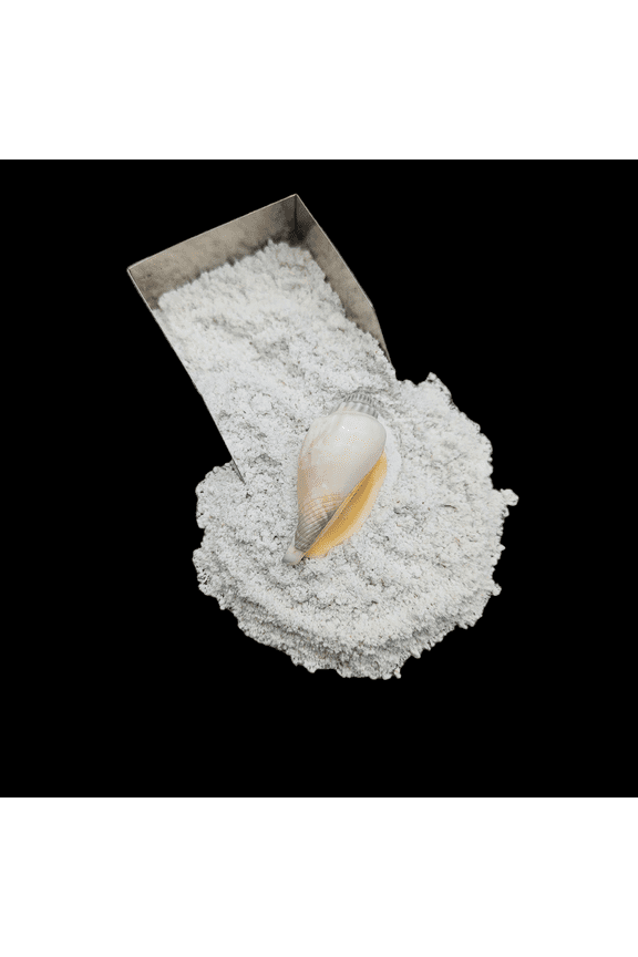 Fossil Shell Gemstone Powder 20g (0.7 oz), Natural Crushed Stone for Resin Inlay & Jewelry