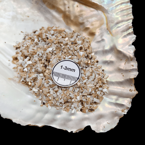 GRADELYGEMS Abalone Shell 1-3mm Gemstone Chips 30g (1 oz), Natural Crushed Stone for Resin & Decor