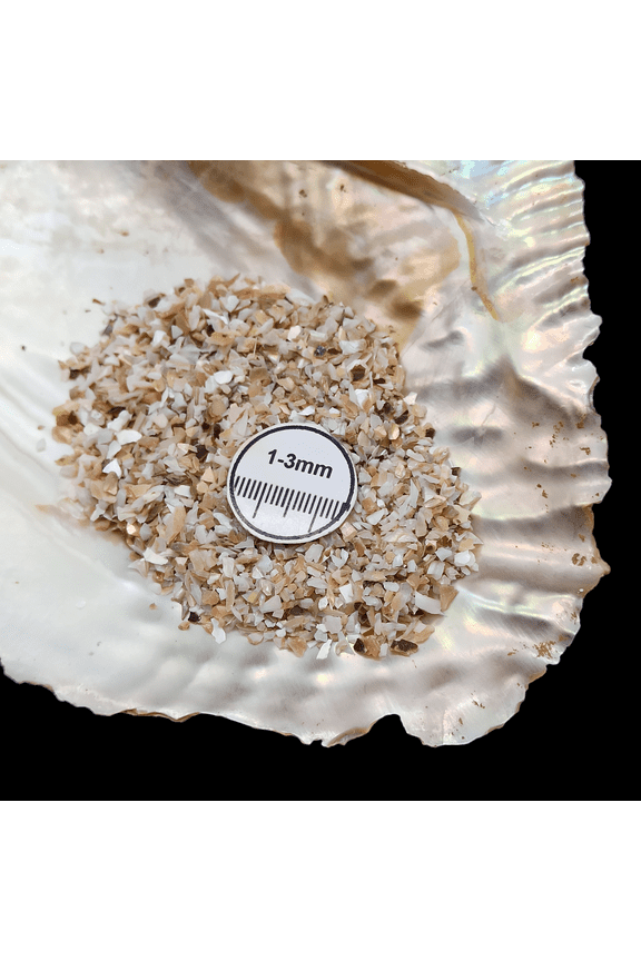 Abalone Shell 1-3mm Gemstone Chips 30g (1 oz), Natural Crushed Stone for Resin & Decor