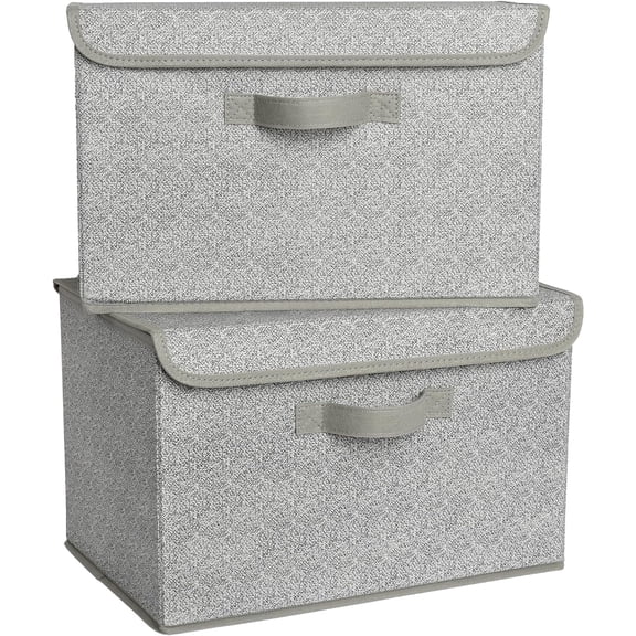 GRANNY SAYS Storage Bins with Lids, Large Fabric Storage Boxes, Collapsible Closet Organizers and Storage, Gray, 2-Pack