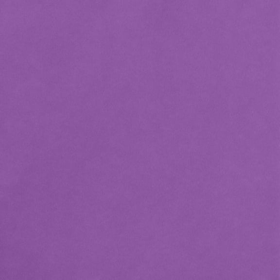 American Crafts Smooth Cardstock 12"X12"-Grape